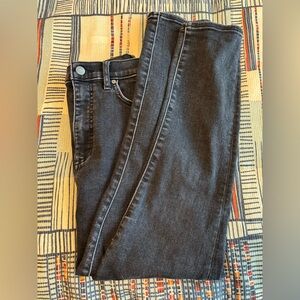 Denim Forum Lola High Rise Skinny 26L